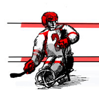 sledge-hockey-infos